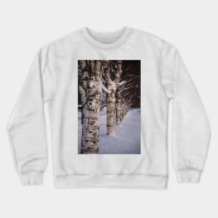 Trees in the Snow Crewneck Sweatshirt